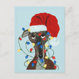 Windhund Santa verheddert in Weihnachtslichtern Postkarte