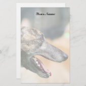 Windhund stationär briefpapier (Vorne/Hinten)