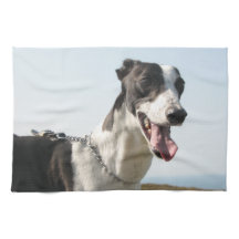 Windhund teatowel - hübscher Junge P4