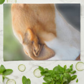 Windhund teatowel - hübsches Mädchen P2 Geschirrtuch (Gefaltet)