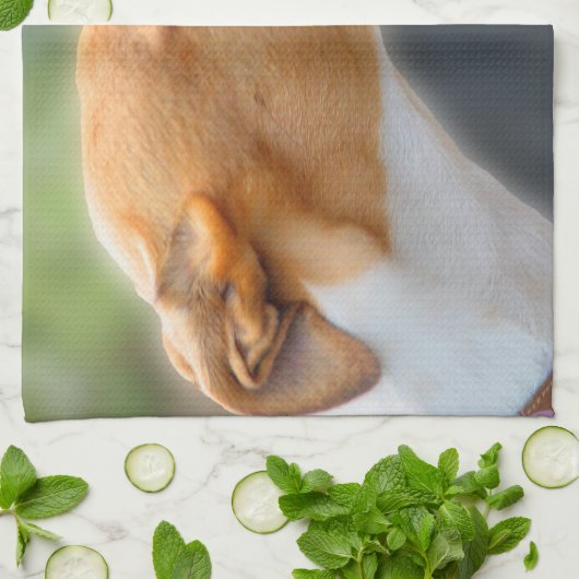 Windhund teatowel - hübsches Mädchen P2 Geschirrtuch (Gefaltet)