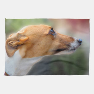 Windhund teatowel - hübsches Mädchen P2 Geschirrtuch