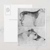 Windhund und Kopf eines Windhundes Postkarte (Vorne/Hinten)