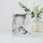 Windhund und Kopf eines Windhundes Postkarte (Stehend Vorderseite)