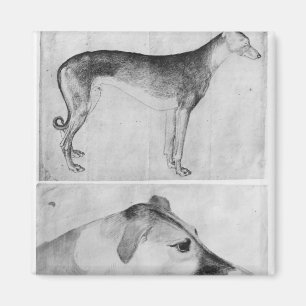 Windhund und Kopf eines Windhunds Magnet