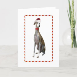 Windhund-Weihnachtskarte Feiertagskarte