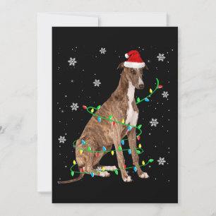 Windhund Weihnachtslicht süßer Weihnachtsmann Wind Einladung