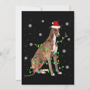 Windhund Weihnachtslicht süßer Weihnachtsmann Wind Feiertagskarte