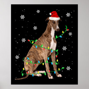 Windhund-Weihnachtsweihe niedlichen Santa Windhund Poster