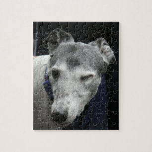Windhund zwinkert (p444) puzzle