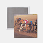 Windhunde auf dem Weg Magnet (Vorderseite/Rückseite)