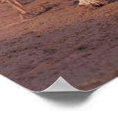 Windhunde auf dem Weg Poster (Ecke)