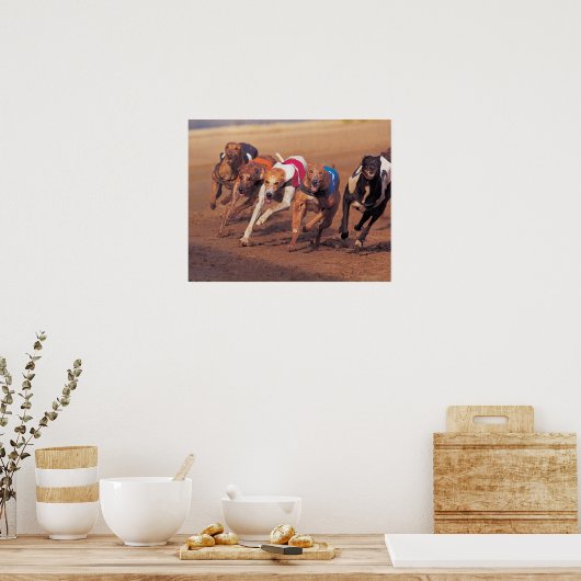 Windhunde auf dem Weg Poster (Küche)