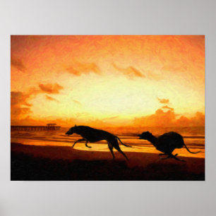 Windhunde auf Strand Poster