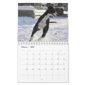 Windhunde Kalender (Feb 2027)