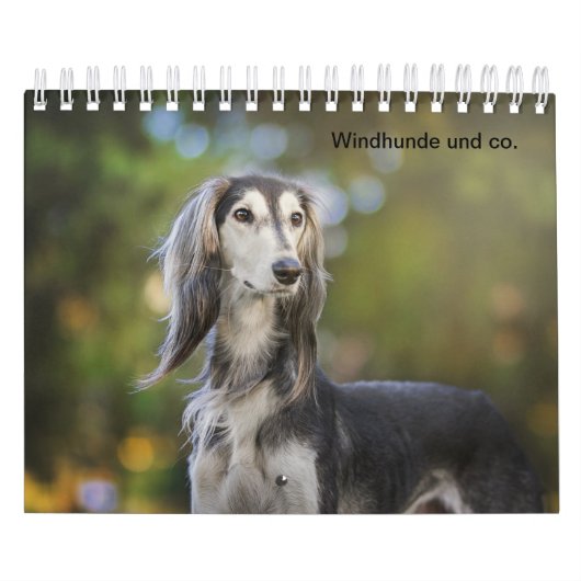 Windhunde Kalender (Titelbild)