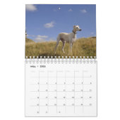 Windhunde Kalender (Mär 2026)