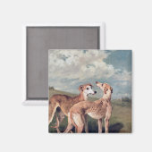 Windhunde Magnet (Vorderseite/Rückseite)