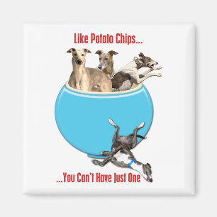Windhunde mögen Kartoffelchips Magnet