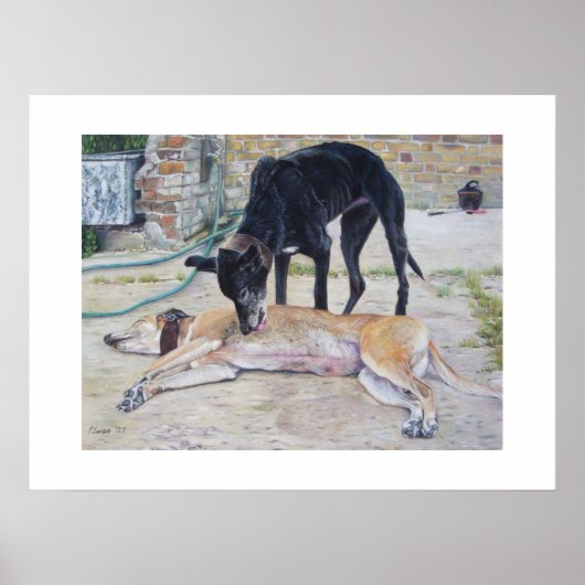 Windhunde-Portrait realistische Tierart-Poster Poster (Vorne)