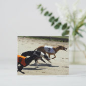 Windhundrennen Postkarte (Stehend Vorderseite)