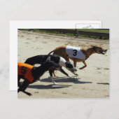 Windhundrennen Postkarte (Vorne/Hinten)