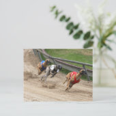 Windhundrennen Postkarte (Stehend Vorderseite)