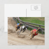 Windhundrennen Postkarte (Vorne/Hinten)