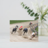 Windhundrennen Postkarte (Stehend Vorderseite)