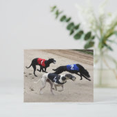 Windhundsprint Postkarte (Stehend Vorderseite)