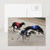 Windhundsprint Postkarte (Vorne/Hinten)
