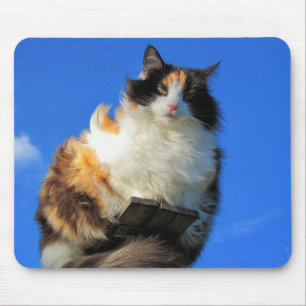 Windig hier oben mousepad