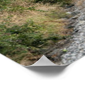 Winding Mountain Road | Olympic National Park Poster (Ecke)