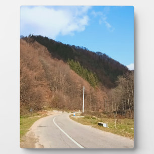 Winding Road Durch Wald – Wilde Natur Rumänien Fotoplatte