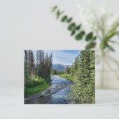 Winding Wyoming Stream (beschriftet) Postkarte (Stehend Vorderseite)