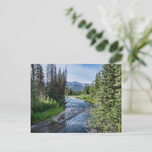 Winding Wyoming Stream (beschriftet) Postkarte (Stehend Vorderseite)