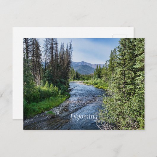Winding Wyoming Stream (beschriftet) Postkarte (Vorne/Hinten)