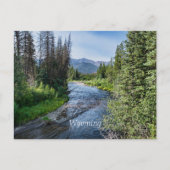 Winding Wyoming Stream (beschriftet) Postkarte (Vorderseite)