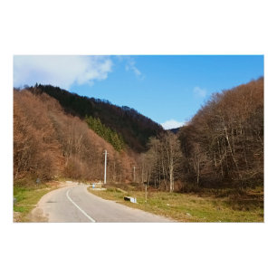 Windinge Straße durch den Wald – Wilde Natur Rumän Poster