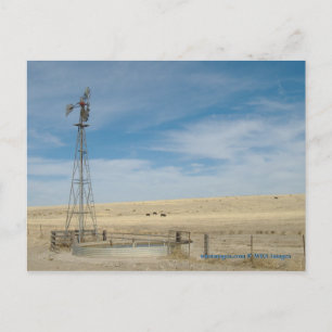 Windmill and cattle under western Kansas Skies Postkarte