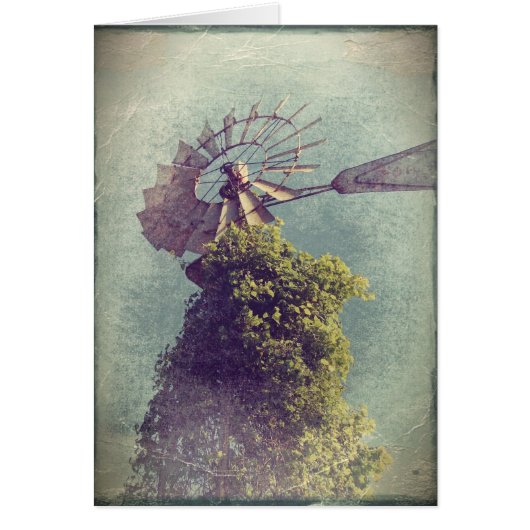 Windmill Grunge (Vorne)
