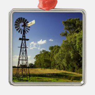 Windmill in der Nähe von Hume Highway, Victoria, A Silbernes Ornament