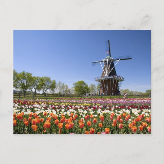Windmill Island Park mit Tulpen in Blüte bei Postkarte (Vorderseite)