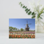 Windmill Island Park mit Tulpen in Blüte bei Postkarte (Stehend Vorderseite)