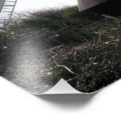 Windmill: Jack & Jill Sussex UK Print / Foto (Ecke)