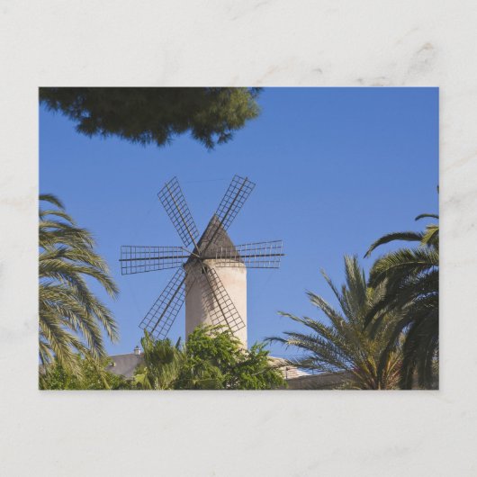 Windmill, Palma, Mallorca, Spanien Postkarte (Vorderseite)