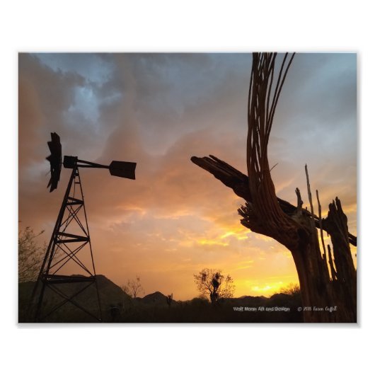 Windmill und Saguaro Cactus Skeleton bei Sunset Fotodruck (Vorne)