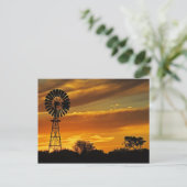 Windmill und Sunset, William Creek, Oodnadatta Postkarte (Stehend Vorderseite)
