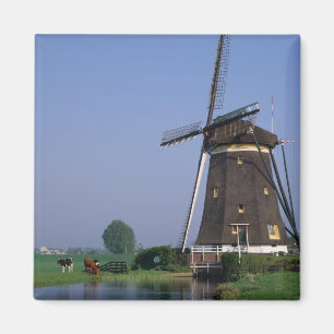 Windmills, Leidschendam, Niederlande Magnet