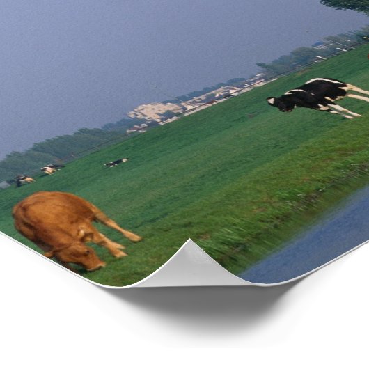 Windmills, Leidschendam, Niederlande Poster (Ecke)